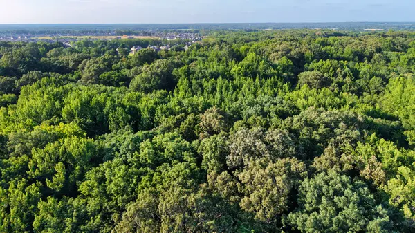 0 Harrell Dr, Arlington, TN 38002