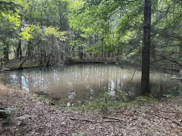 0 John Lunn Rd, Lewisburg, TN 37091