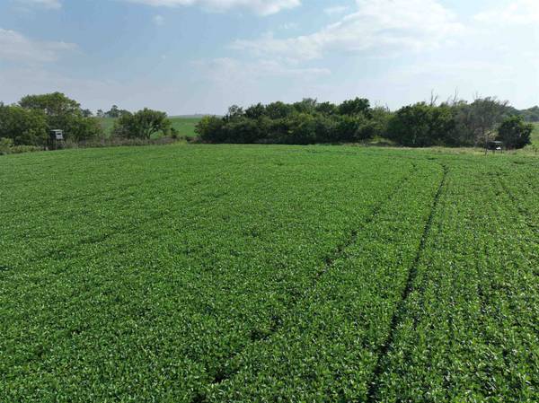 0 Coyote Rd., Gridley, KS 66852