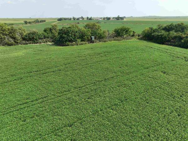 0 Coyote Rd., Gridley, KS 66852
