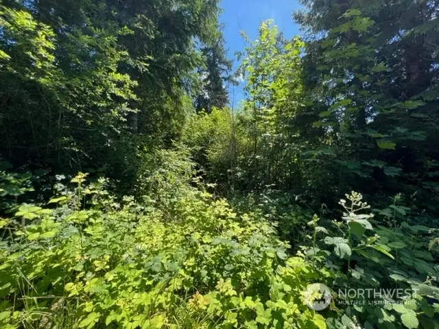 81 E Panorama DR, Shelton, WA 98584