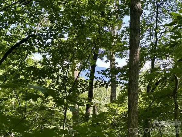 00 Liberty RD #21, Waynesville, NC 28785