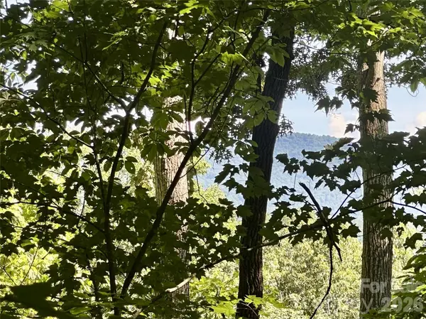 00 Liberty RD #21, Waynesville, NC 28785