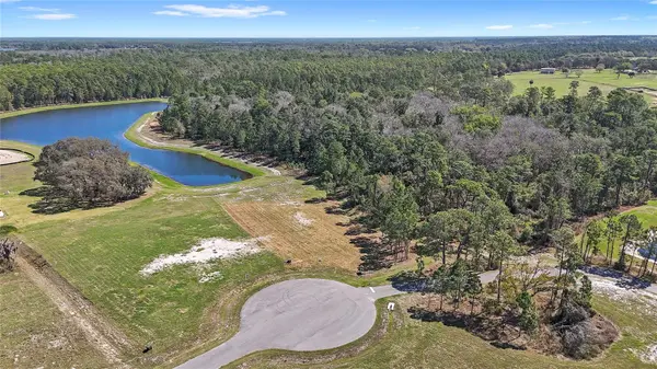 20280 SHORELINE RANCH LN, Umatilla, FL 32784