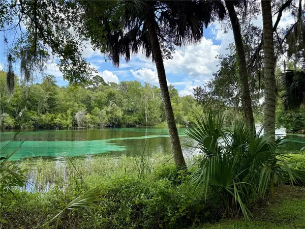 SW 205TH CIRCLE, Dunnellon, FL 34431