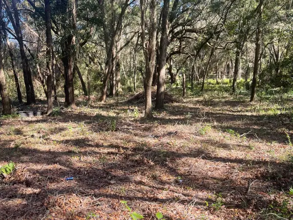 0 SE 130 ST, Belleview, FL 34420