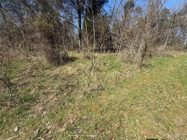 Madison 210 Lot b/2, Fredericktown, MO 63645