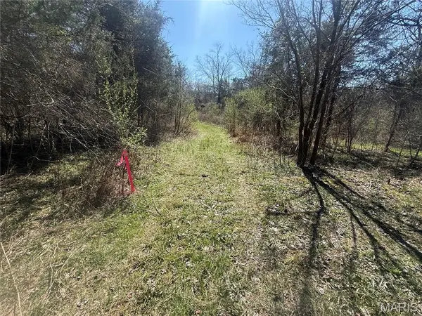 Madison 210 Lot b/2, Fredericktown, MO 63645