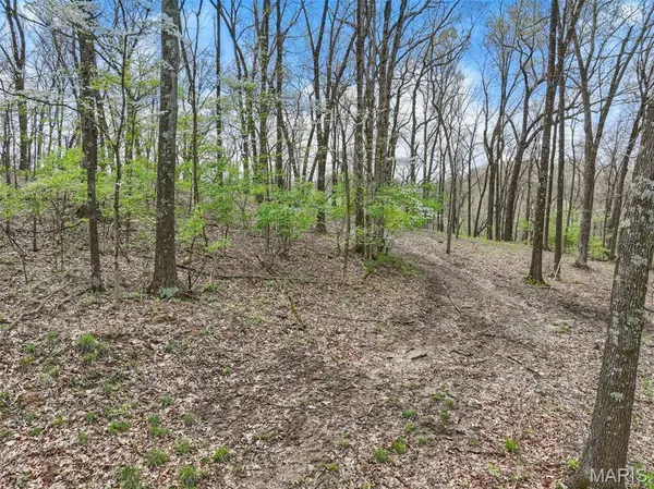 16404 Clayton RD, Wildwood, MO 63011
