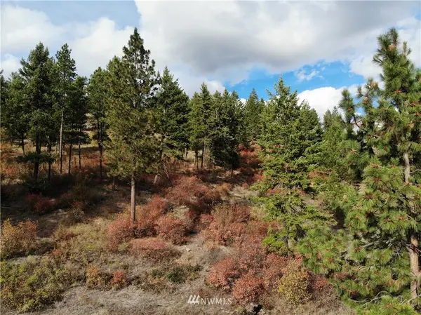 2420 A Cedonia-Addy Rd, Addy, WA 99101