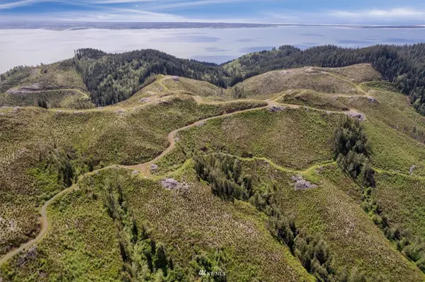 0 Highway 101, Chinook, WA 98638