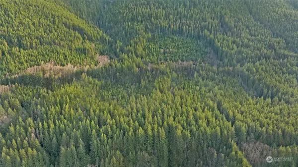 0 XXX, Skykomish, WA 98288