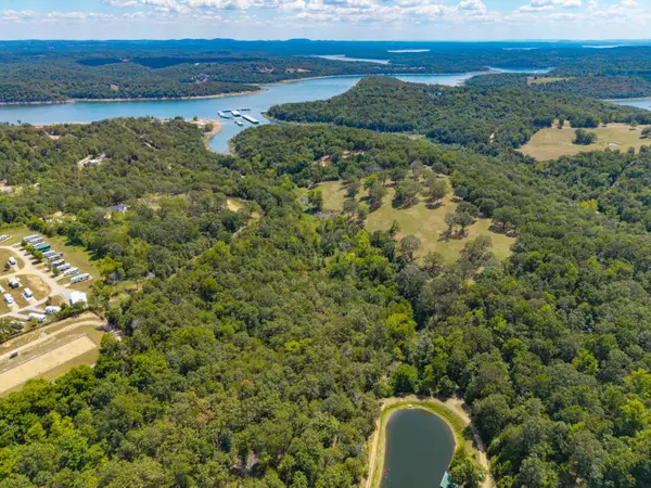 Lot 2 County Road 635, Theodosia, MO 65761