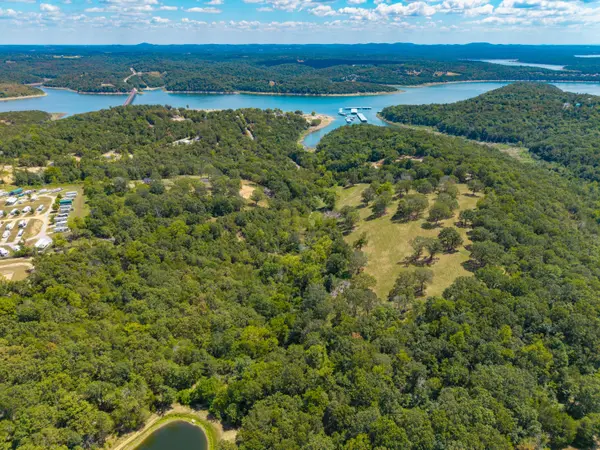 Lot 4 County Road 635, Theodosia, MO 65761
