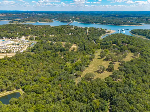 Lot 4 County Road 635, Theodosia, MO 65761
