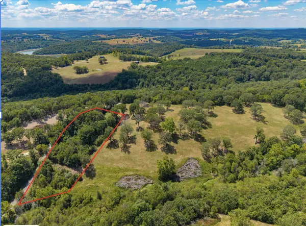 Lot 6 County Road 635, Theodosia, MO 65761