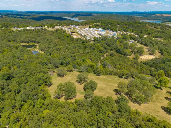 Lot 7 County Road 635, Theodosia, MO 65761