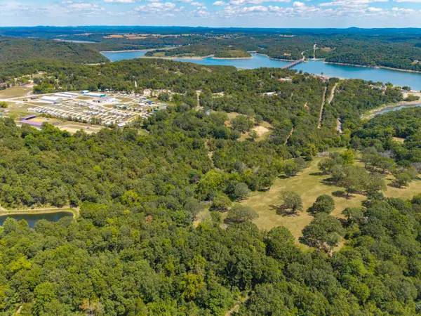 Lot 7 County Road 635, Theodosia, MO 65761