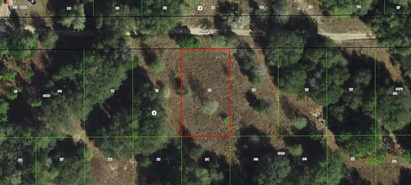 2407 TYLER ST, Inverness, FL 34453