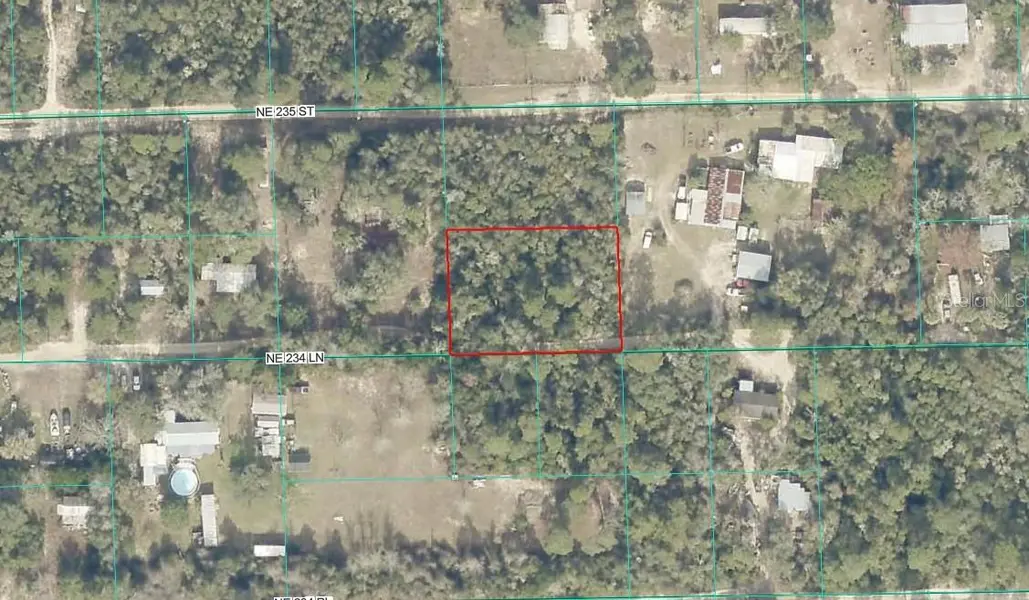 TBD NE 234TH LN, Fort Mc Coy, FL 32134