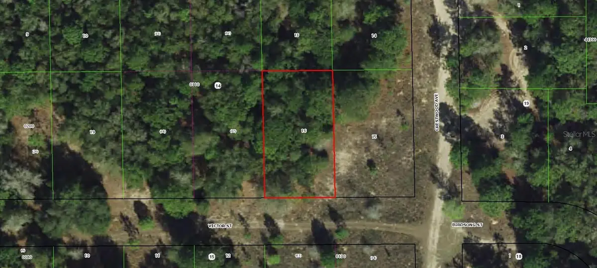 1902 VICTOR ST, Inverness, FL 34453