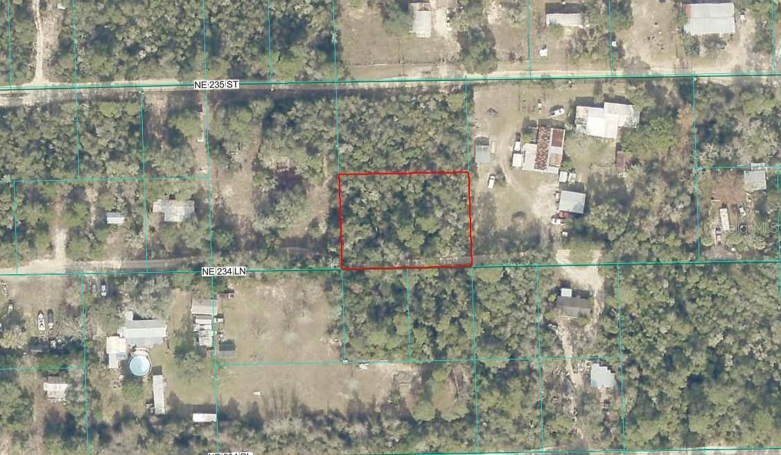 TBD NE 234TH LN, Fort Mc Coy, FL 32134