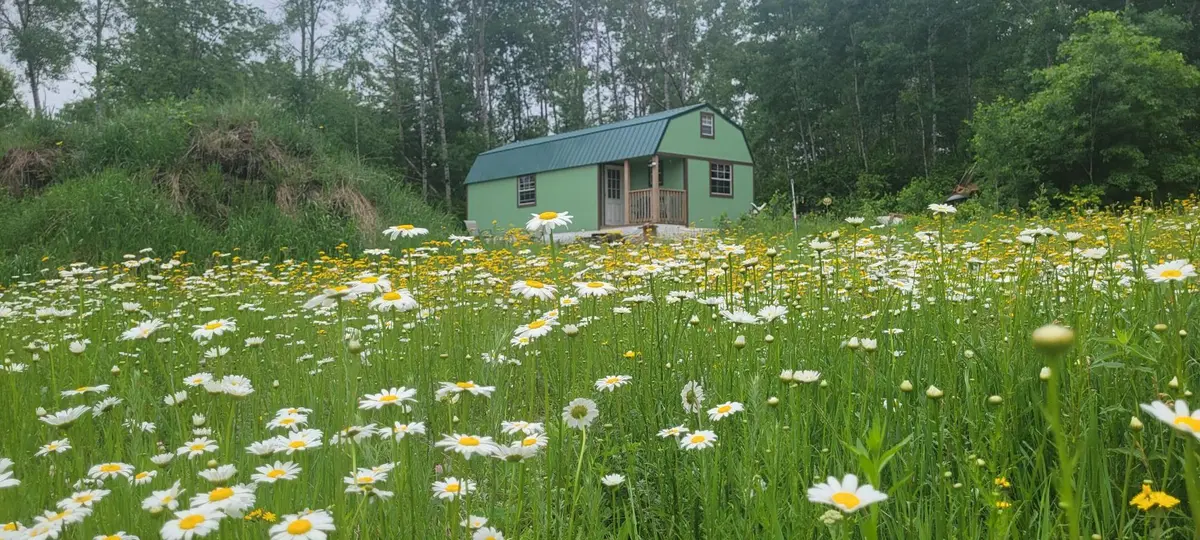11116 N Blackberry RD, Trego, WI 54888