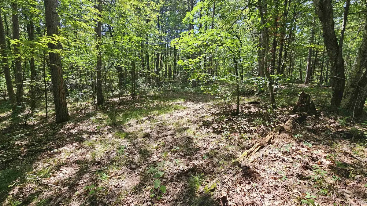 N1705 HAWKS NEST PATH, Keshena, WI 54135-0000