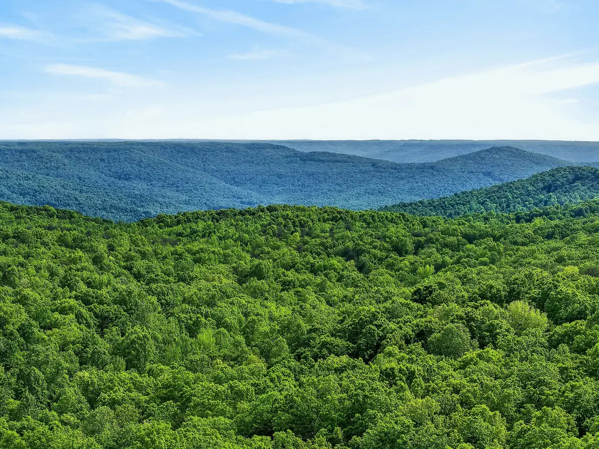 0 Harrison Ferry Road, Mc Minnville, TN 37110