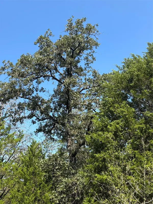 667 Paint Creek South RD, Paige, TX 78659