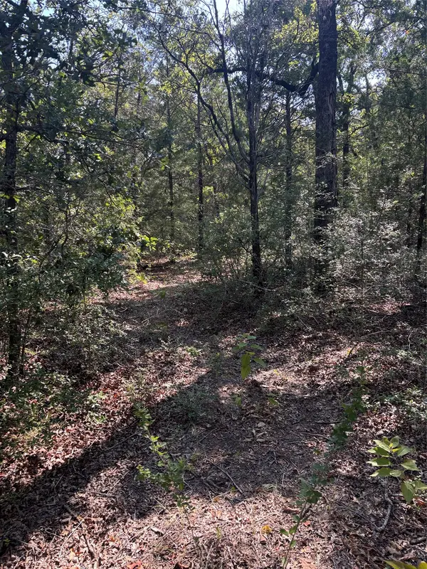 667 Paint Creek South RD, Paige, TX 78659