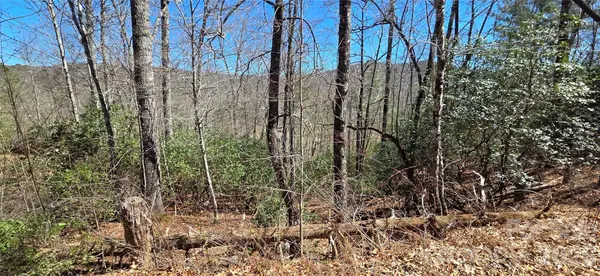 90 Kimiko LN S #30&31, Balsam Grove, NC 28708