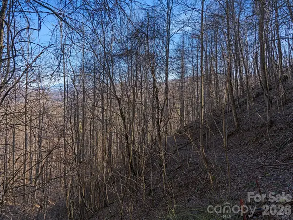 00 Lotties Creek RD, Burnsville, NC 28714