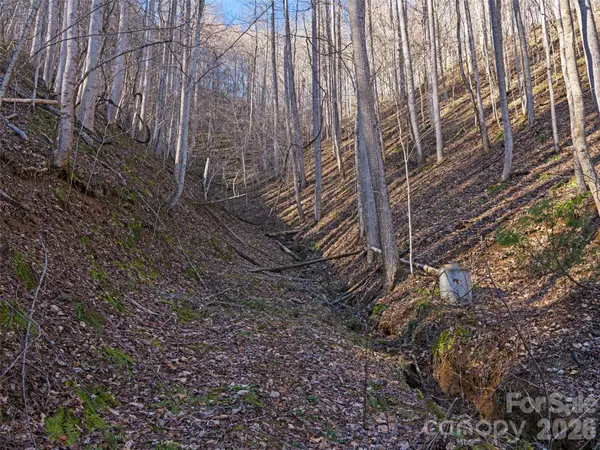 00 Lotties Creek RD, Burnsville, NC 28714