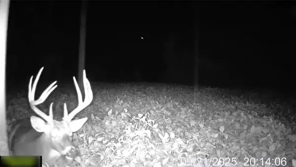 Z HWY, Pattonsburg, MO 64670