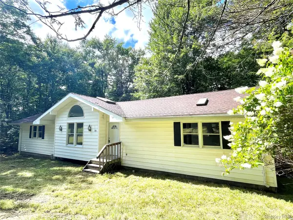 21 Browns RD, Livingston Manor, NY 12758