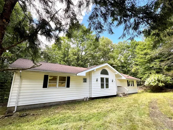 21 Browns RD, Livingston Manor, NY 12758