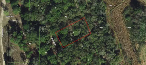 1006 FERNCREEK AVE, Inverness, FL 34453