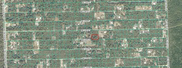 TBD NE 234TH LN, Fort Mc Coy, FL 32134