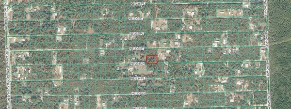 TBD NE 234TH LN, Fort Mc Coy, FL 32134