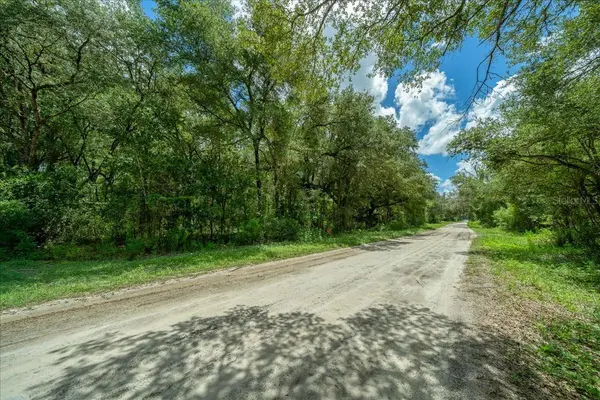 TBD SW 131ST TER, Dunnellon, FL 34432