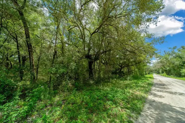 TBD SW 131ST TER, Dunnellon, FL 34432