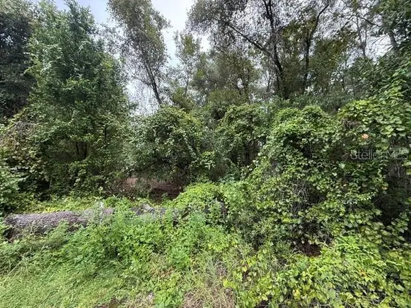 177 N OAKWOOD TER, Inverness, FL 34453