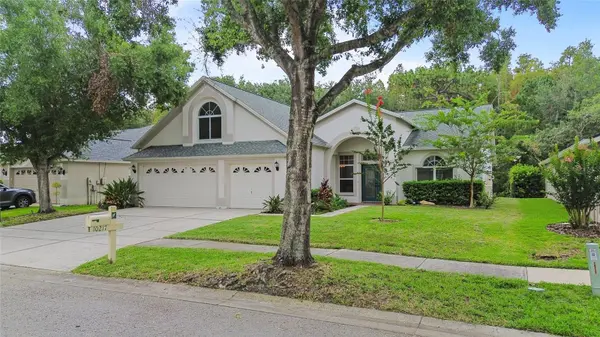10217 TIMBERLAND POINT DR, Tampa, FL 33647