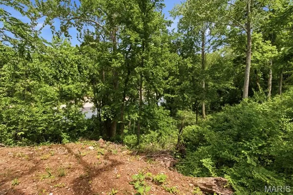 Tract 10 Circle B RD, Eminence, MO 65466
