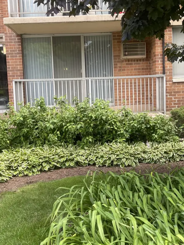 2211 S Stewart AVE #1C, Lombard, IL 60148