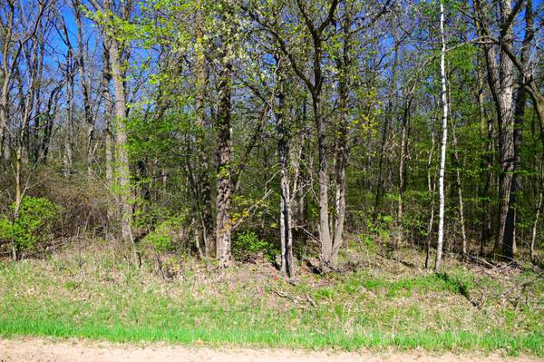 TBD 285 AVE, Browerville, MN 56438