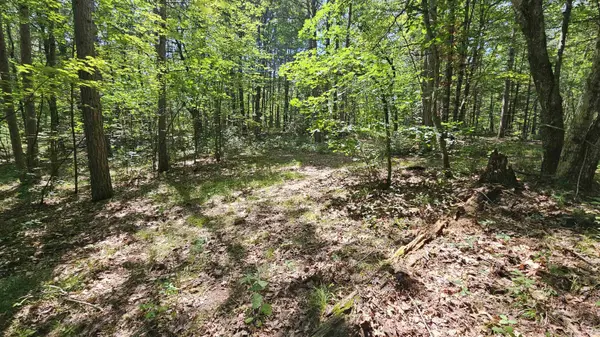 N1705 HAWKS NEST PATH,  Keshena,  WI 54135-0000