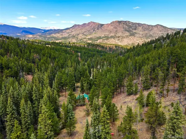 652 Payne Gulch RD, Bailey, CO 80421