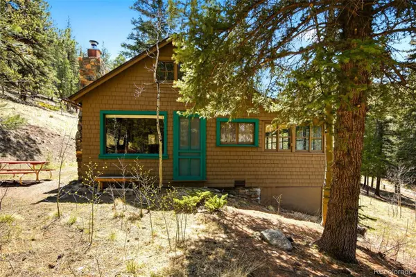 652 Payne Gulch RD, Bailey, CO 80421